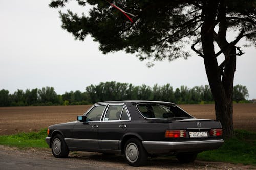 Kostenloses Stock Foto zu auto, baum, landschaft