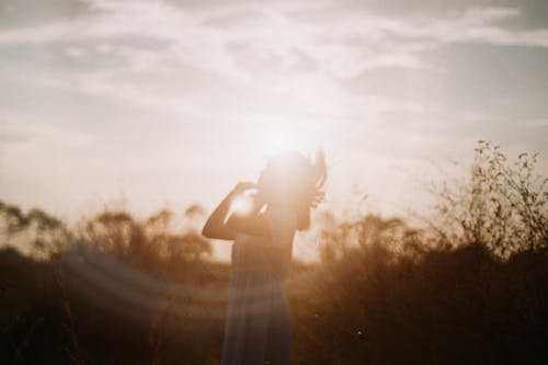 Fotos de stock gratuitas de al aire libre, amanecer, campo