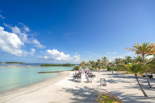 Beautiful beach wedding setup with palm trees under a vibrant blue sky, perfect for a tropical celebration.