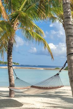 Serene beach scene with a hammock between palm trees and a turquoise ocean view.