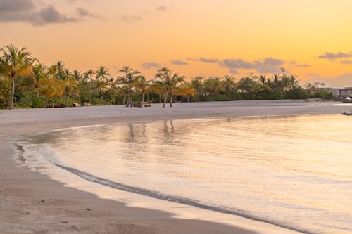 Golden Hour at the Beach 