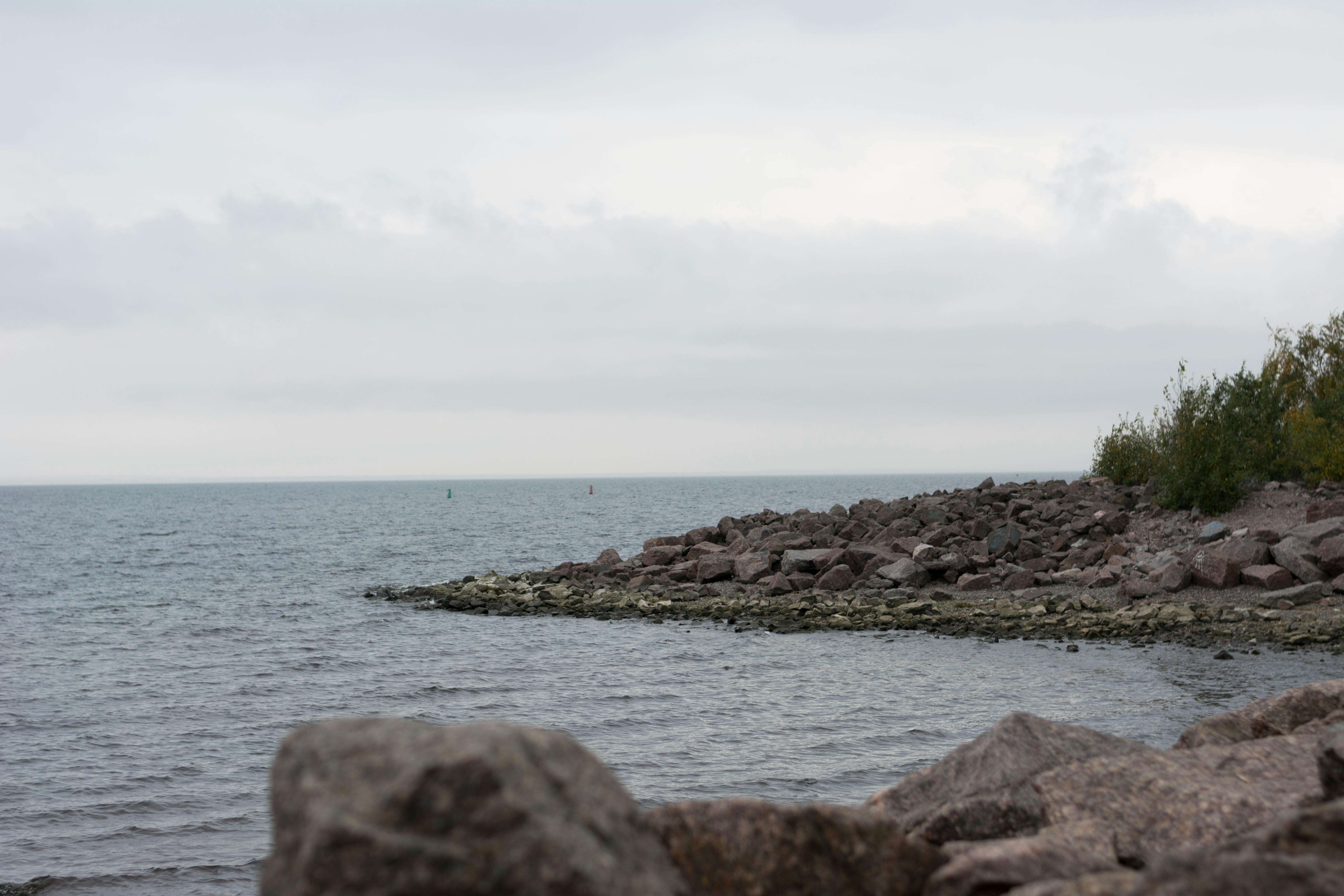 UNE students ‘Restore the Shore’ to strengthen campus climate resilience — Photo by Vitali Adutskevich on Pexels