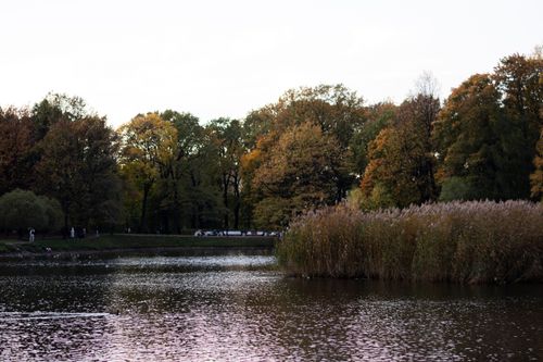 Free Serene autumn landscape featuring a lake surrounded by colorful trees and a calm atmosphere in the park. Stock Photo