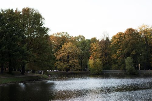 Free Calm lake surrounded by autumn foliage in a tranquil park setting. Stock Photo