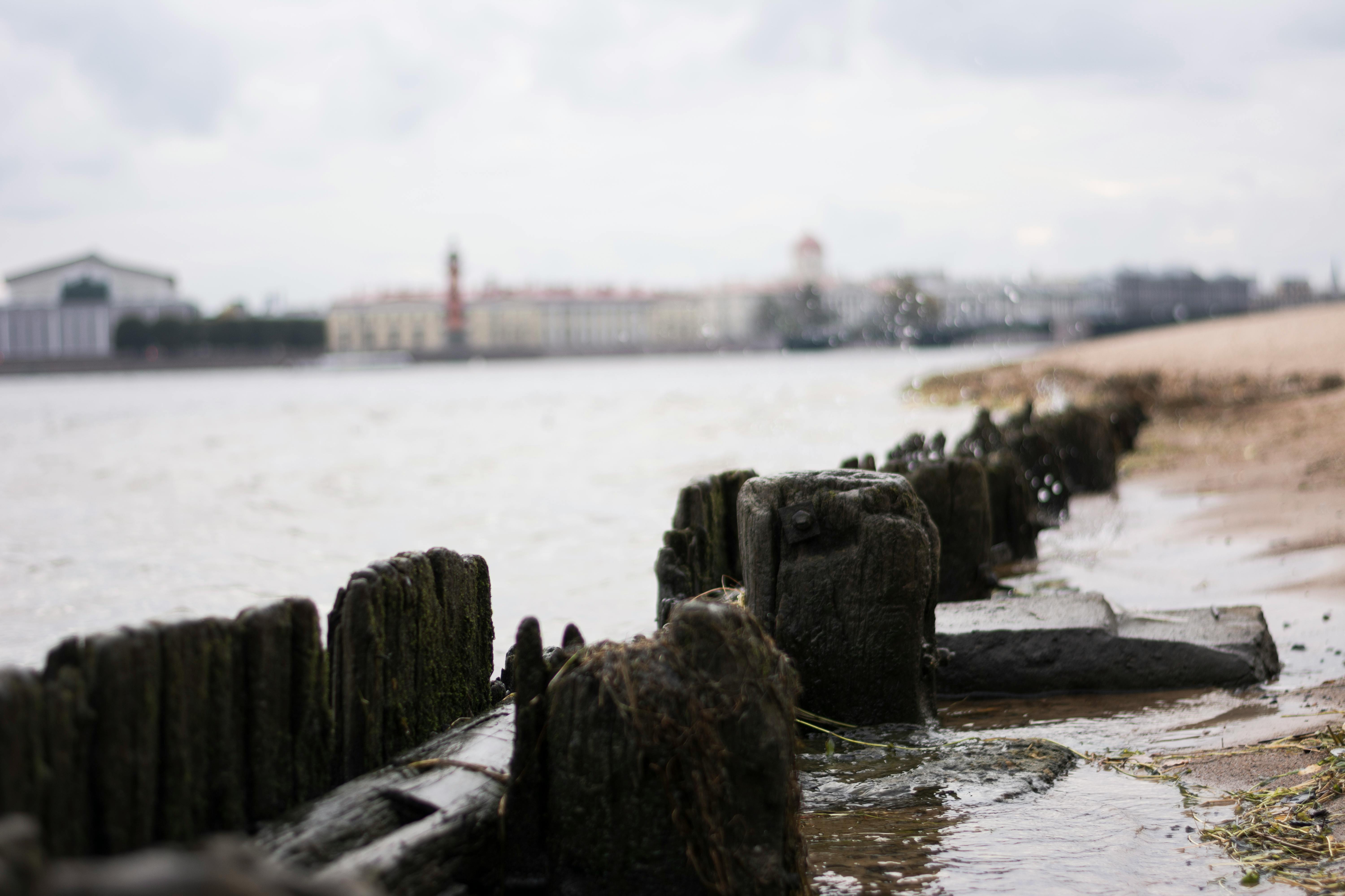 City Beach SunDali