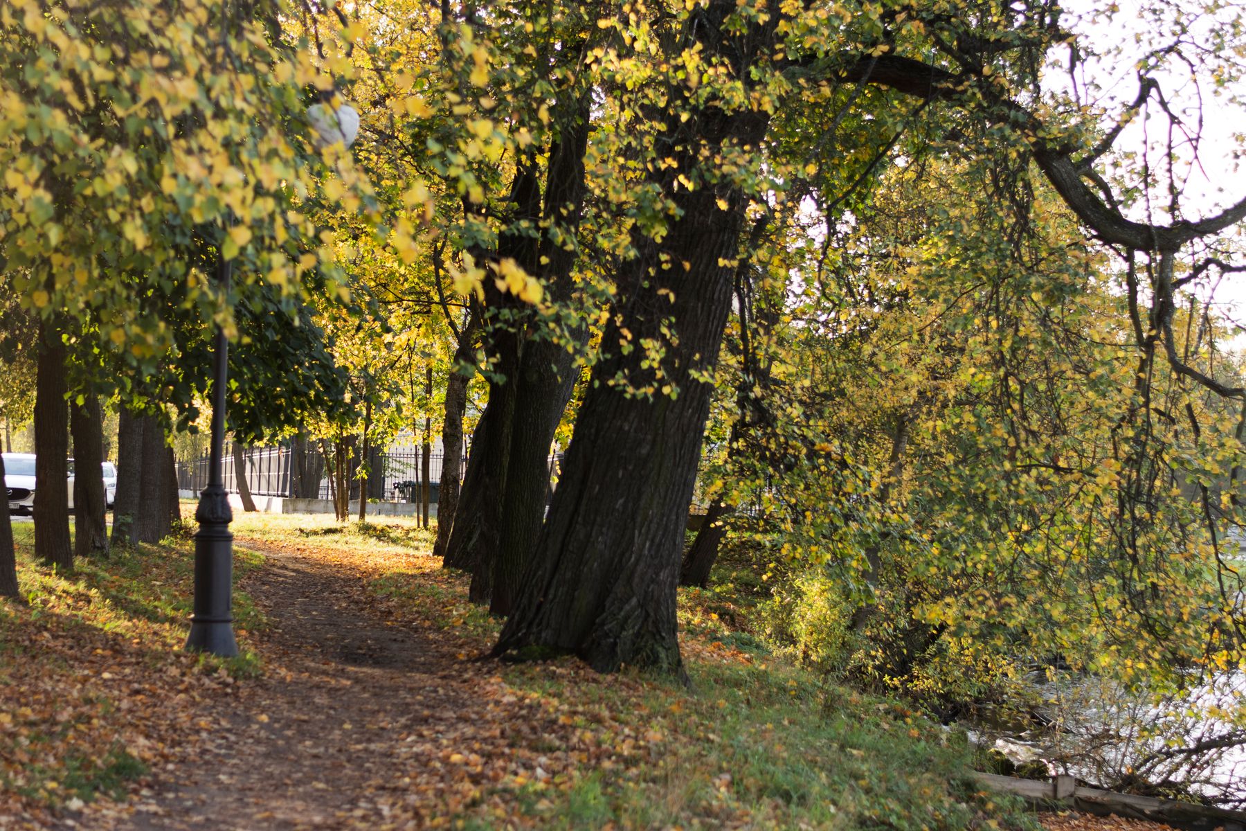 Ashland City in November: River Walks and Fall Weather Near Springfield