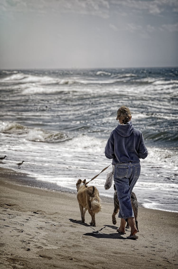 A Women Running With Dogs On A Beach