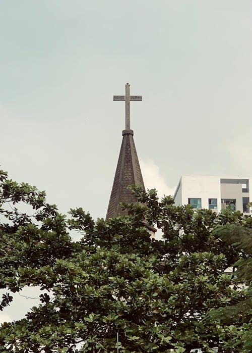 Immagine gratuita di albero, cattolico, chiesa