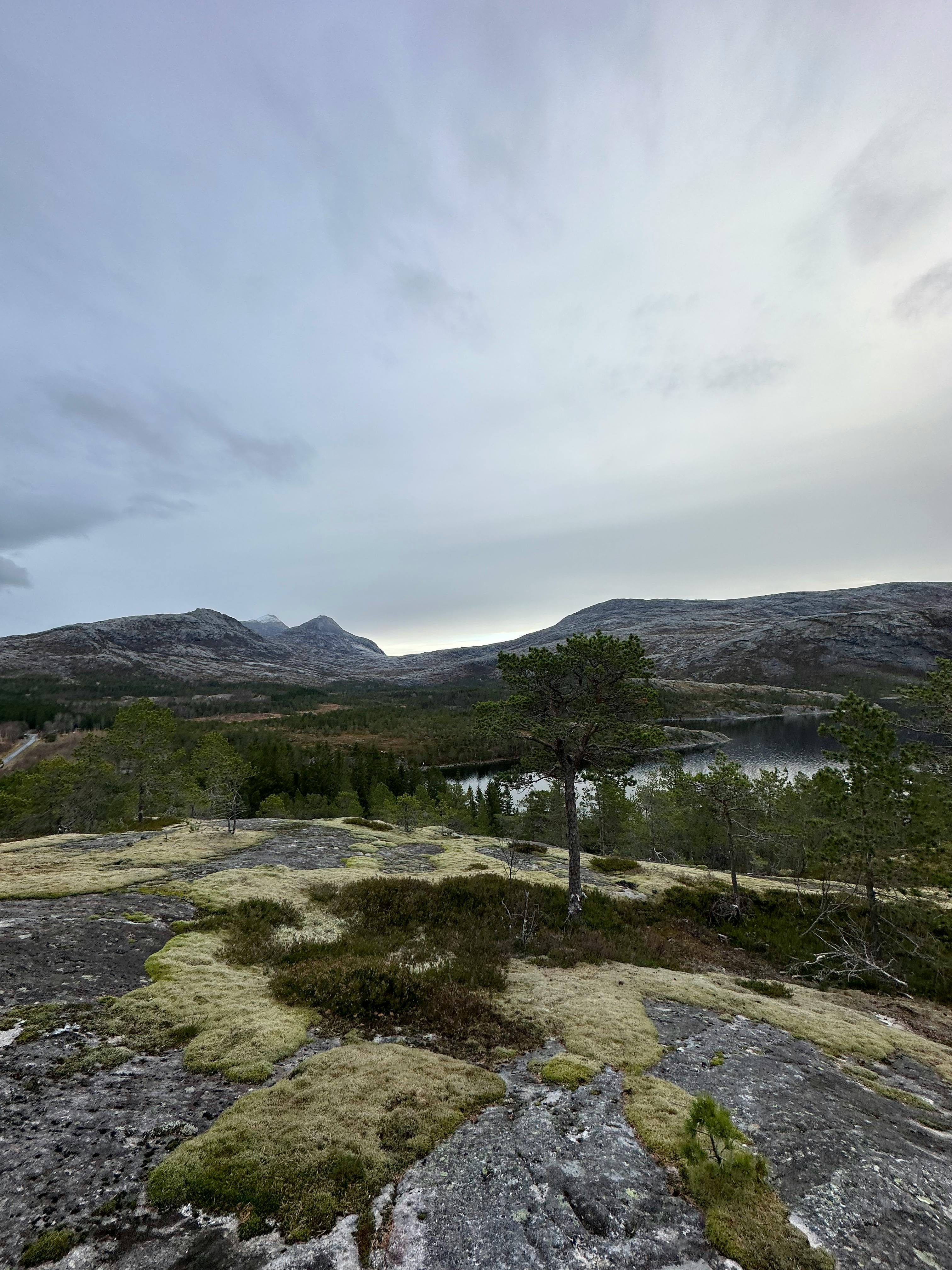 Explore the serene natural beauty of Bodø, Norway, with mountains, trees, and a peaceful lake.