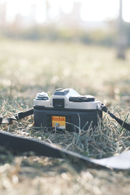 Kodak Camera on Grass