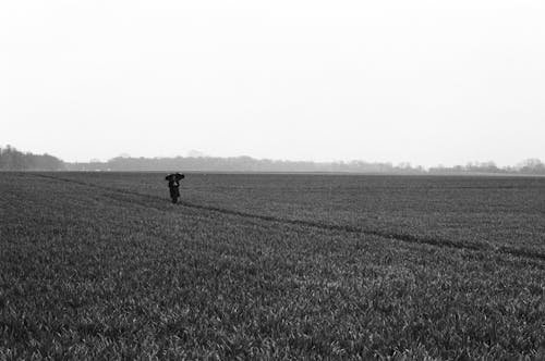 A Grayscale of a Person Walking on a Field while Using an Umbrella