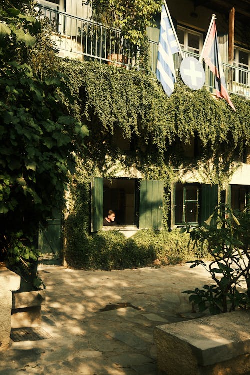 Photo of a Building Covered with Lush Vines