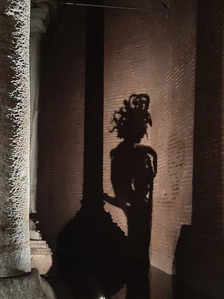 Shadow Of Medusa On Wall