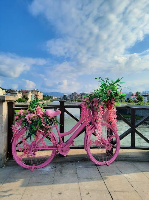 Pink Bicycle Decoration on Bridge