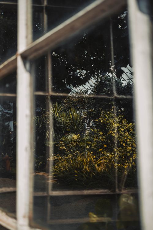 Window Reflection Nature Reflection of Plants in the Glass Window · Free Stock Photo