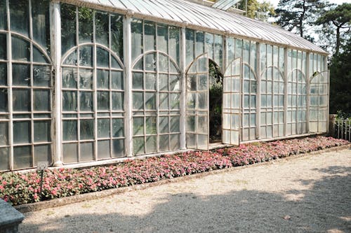 Sunlit Windows of Greenhouse