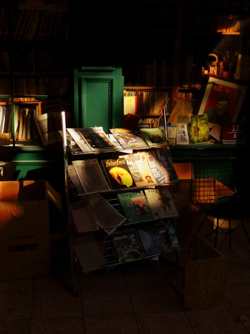 Magazines and Books on a Shelf 