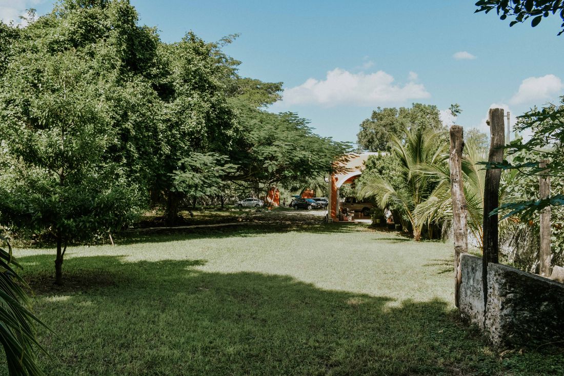 Before — Plain garden → premium landscaping