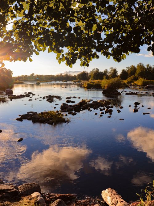 Free Tranquil river scene at sunset with cloud reflections and lush greenery. Stock Photo