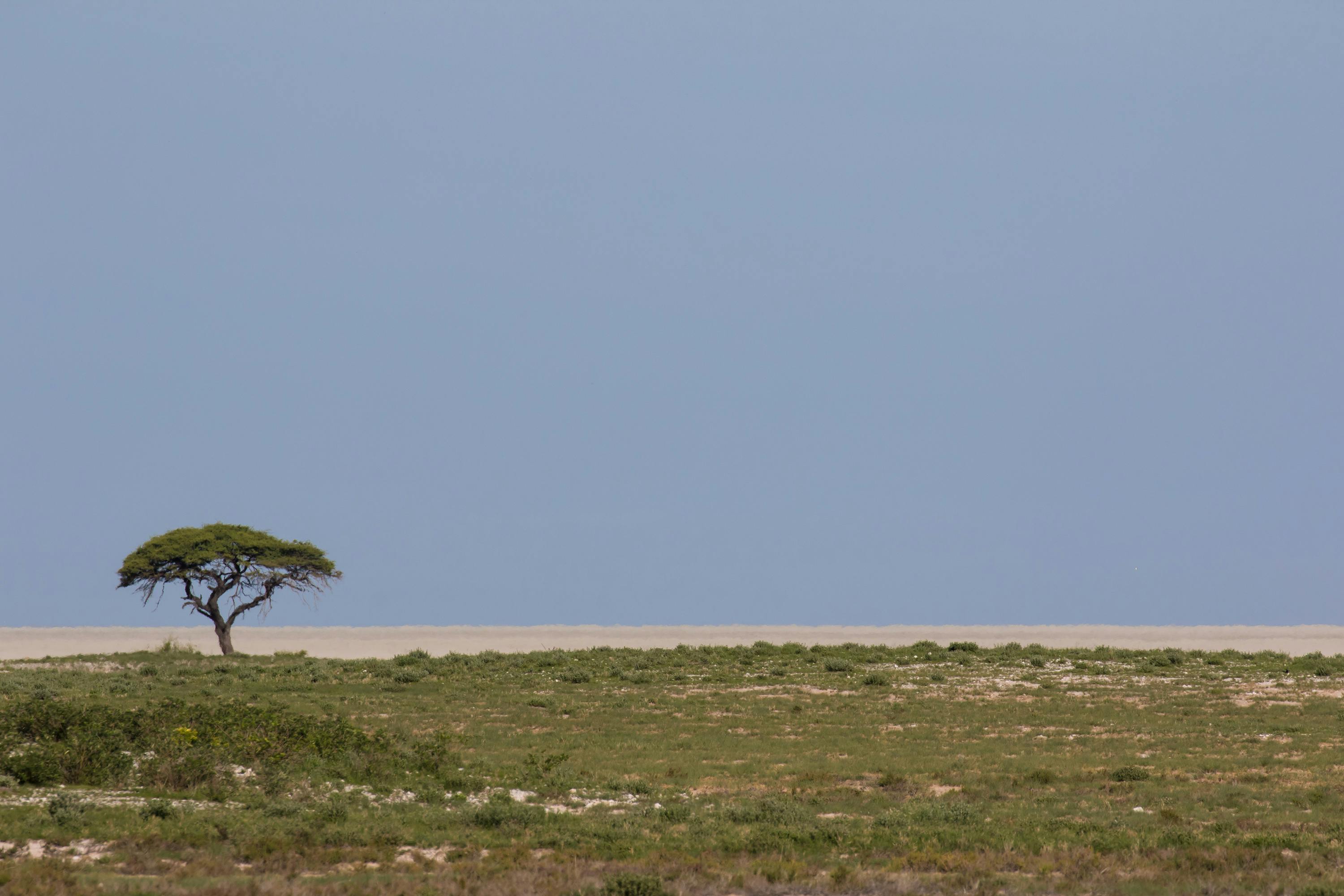 Tradisi Afrika Photos, Download The BEST Free Tradisi Afrika Stock ...