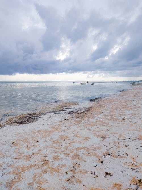 A Beach Under the Cloudy Sky