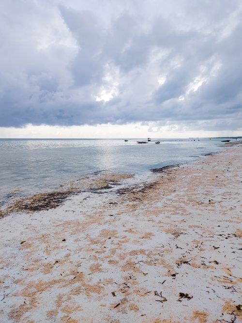 Free Tranquil beach scene in Bwejuu, Tanzania with cloudy skies and a serene seascape. Stock Photo