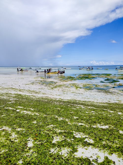 People and Boats on Ocean Shore