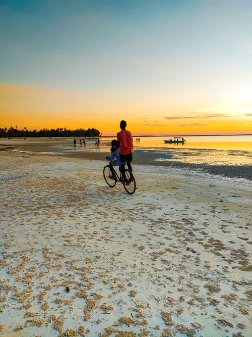 Free Cyclists enjoy a serene sunset ride on the sandy beach at Michamvi Kae, Tanzania. Stock Photo