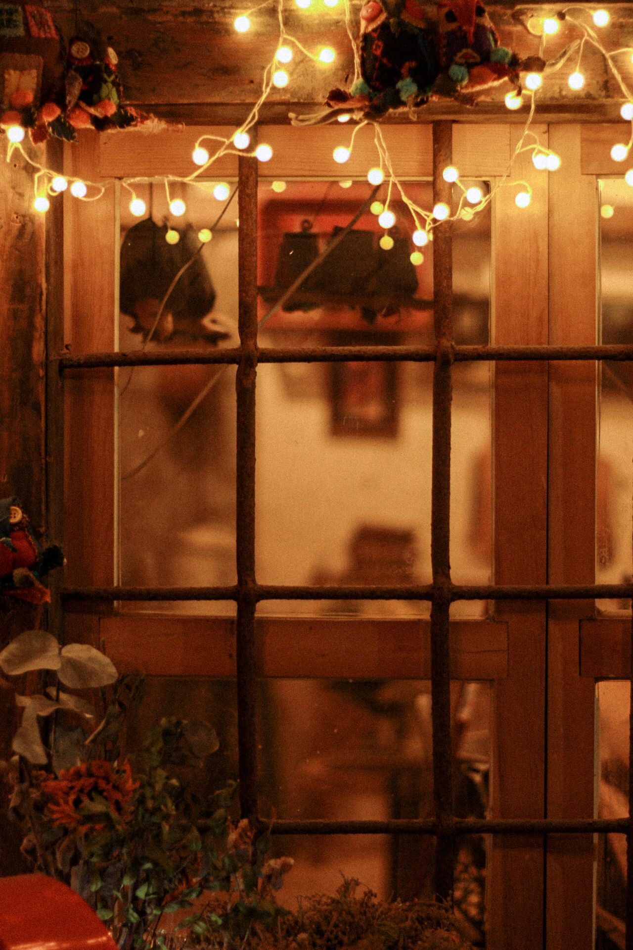 starry-window-decals House windows glowing with decorative lights at night