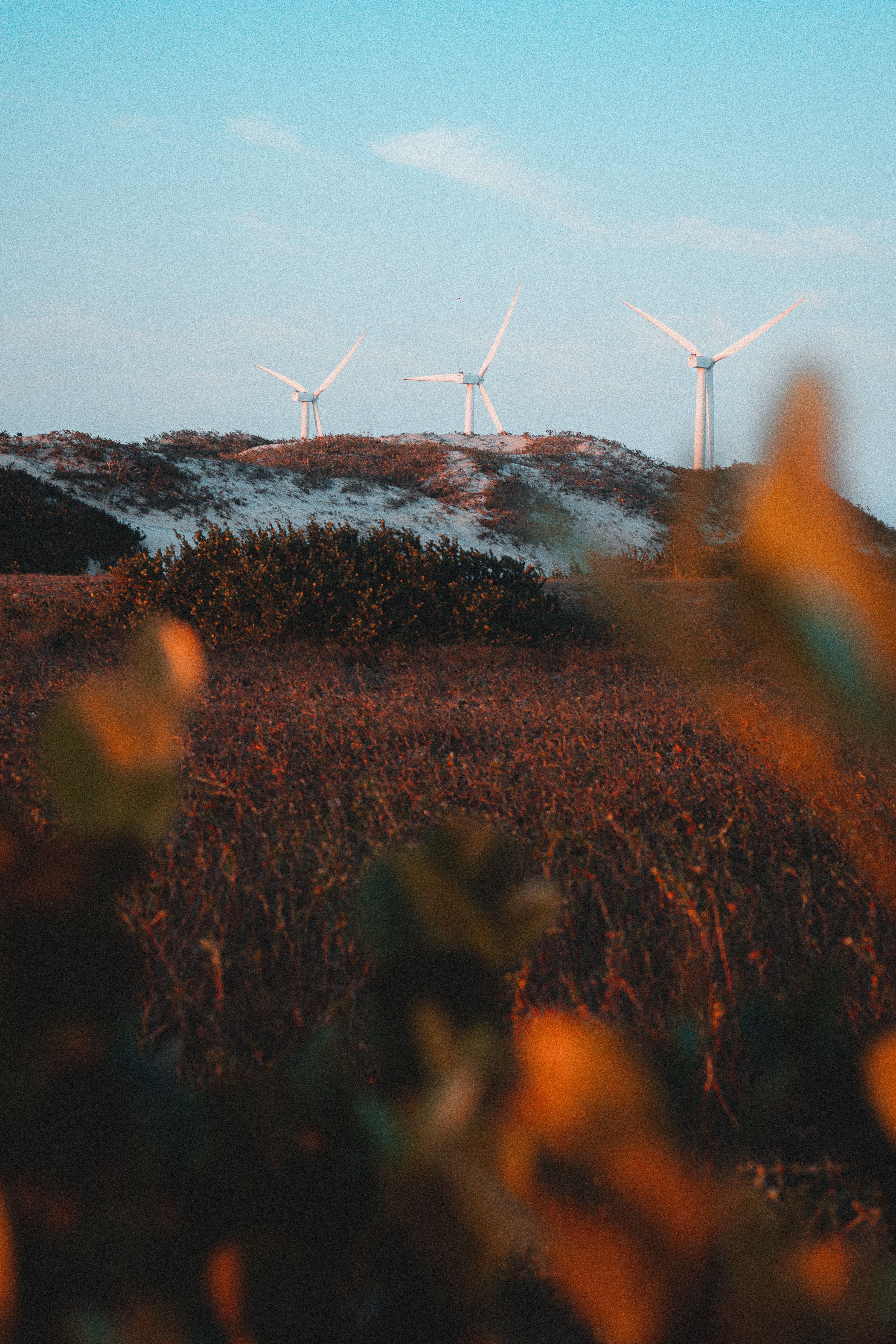 White Wind Turbines Under the Blue Sky · Free Stock Photo