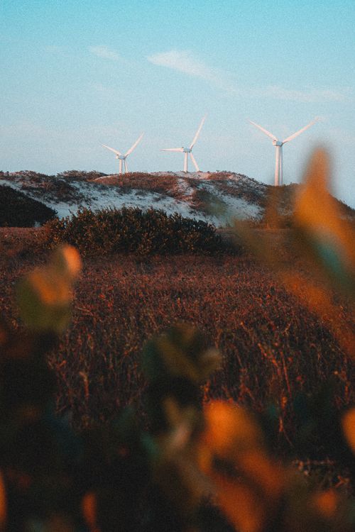 Free Wind turbines in a picturesque field during sunset, showcasing renewable energy and natural beauty. Stock Photo