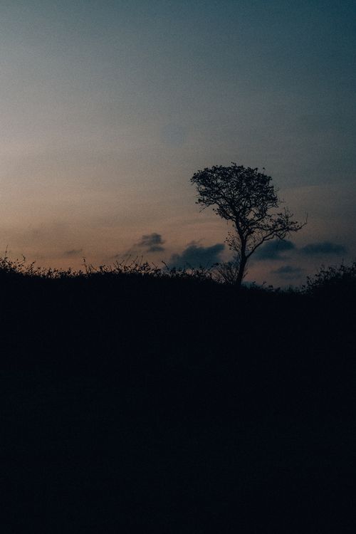 Free A lone tree silhouetted against a dusky sky, creating a peaceful and serene atmosphere. Stock Photo