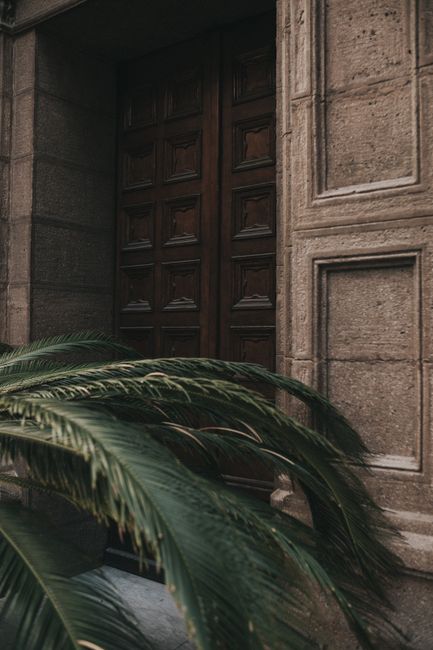 Elegant wooden door framed by palm fronds and intricate stone facade.