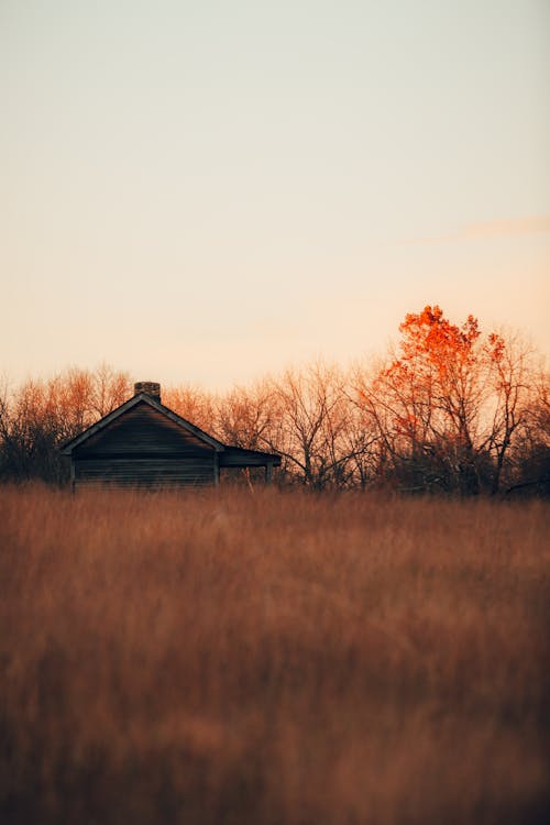 Wooden House Behind a Field