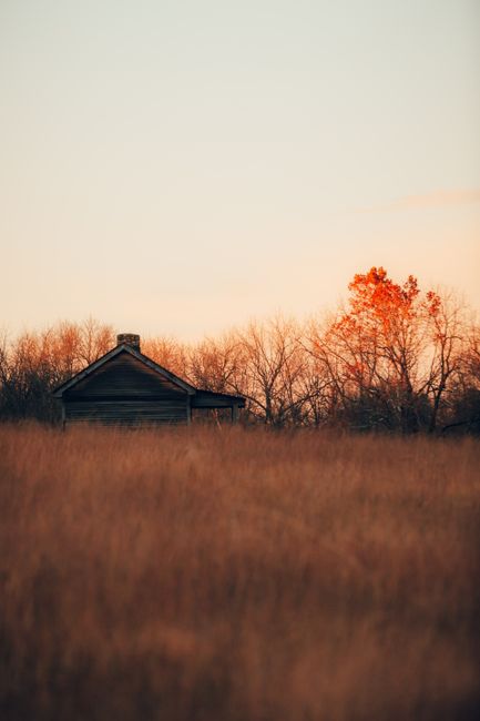 Tranquil scene of a rustic house surrounded by autumn foliage under a warm sunset sky.