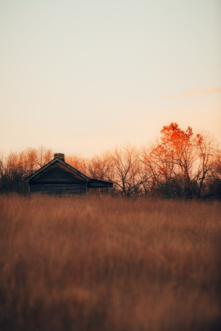 Wooden House Behind A Field