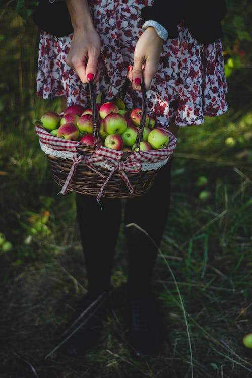 Человек, держащий корзину с яблоками