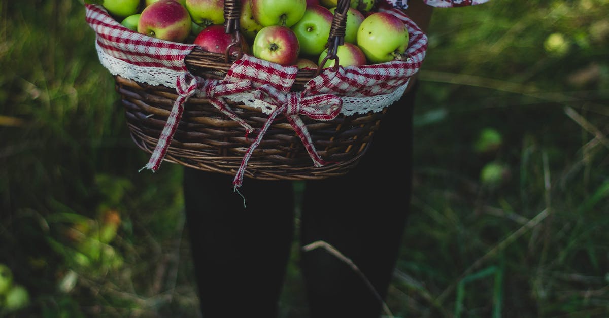 Free stock photo of apples, basket, fruits