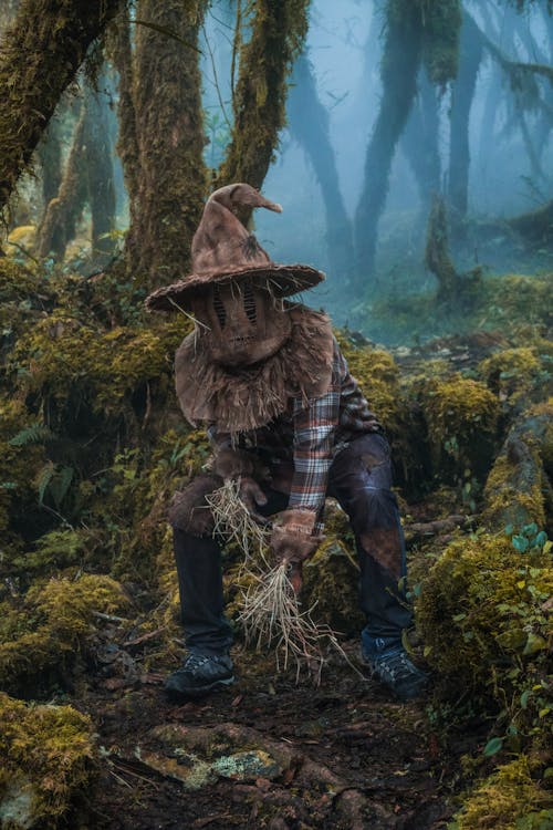 Photos gratuites de arbres, chapeau de sorcière, costume