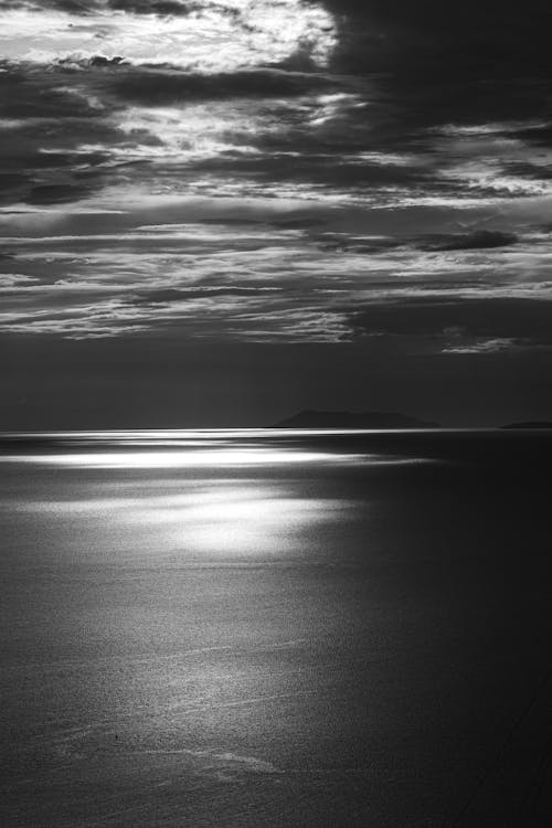 Základová fotografie zdarma na téma černý a bílý, jednobarevný, moře