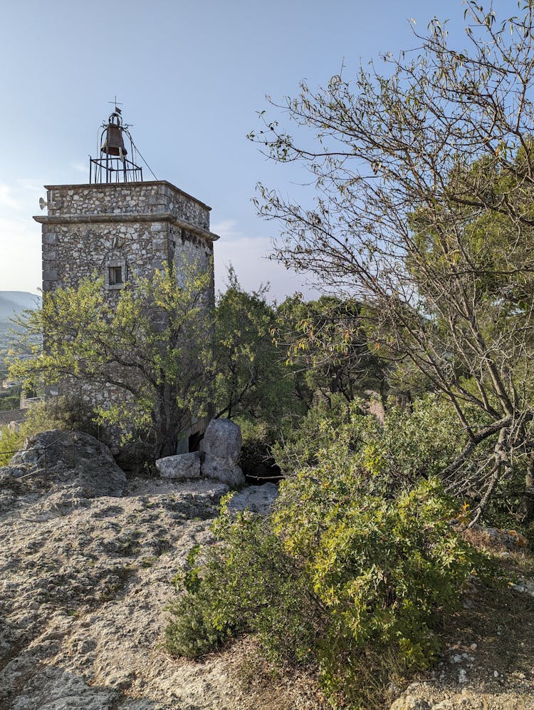 Bell Tower Surrounded By Green Trees