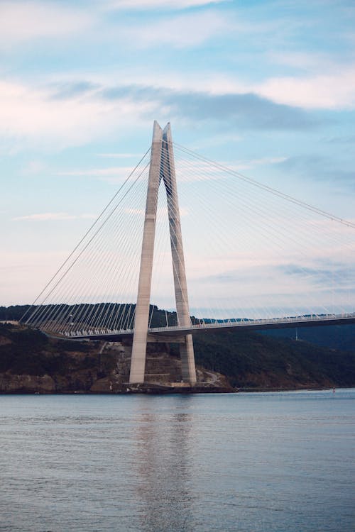 Suspension Bridge above River in Nature