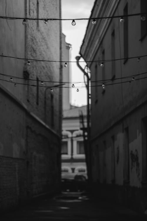 Grayscale Photo of Hanging Lights