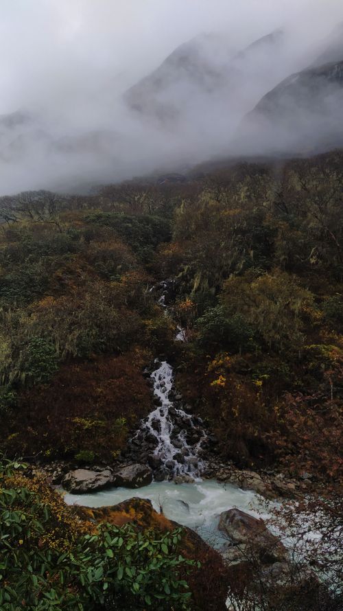Free Misty mountains and a flowing stream create a serene landscape in Nepal's natural beauty. Stock Photo