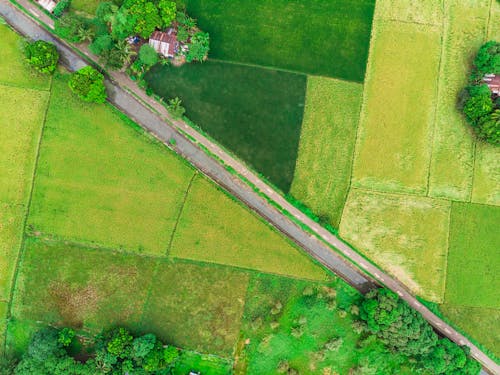 Green Fields and Canal