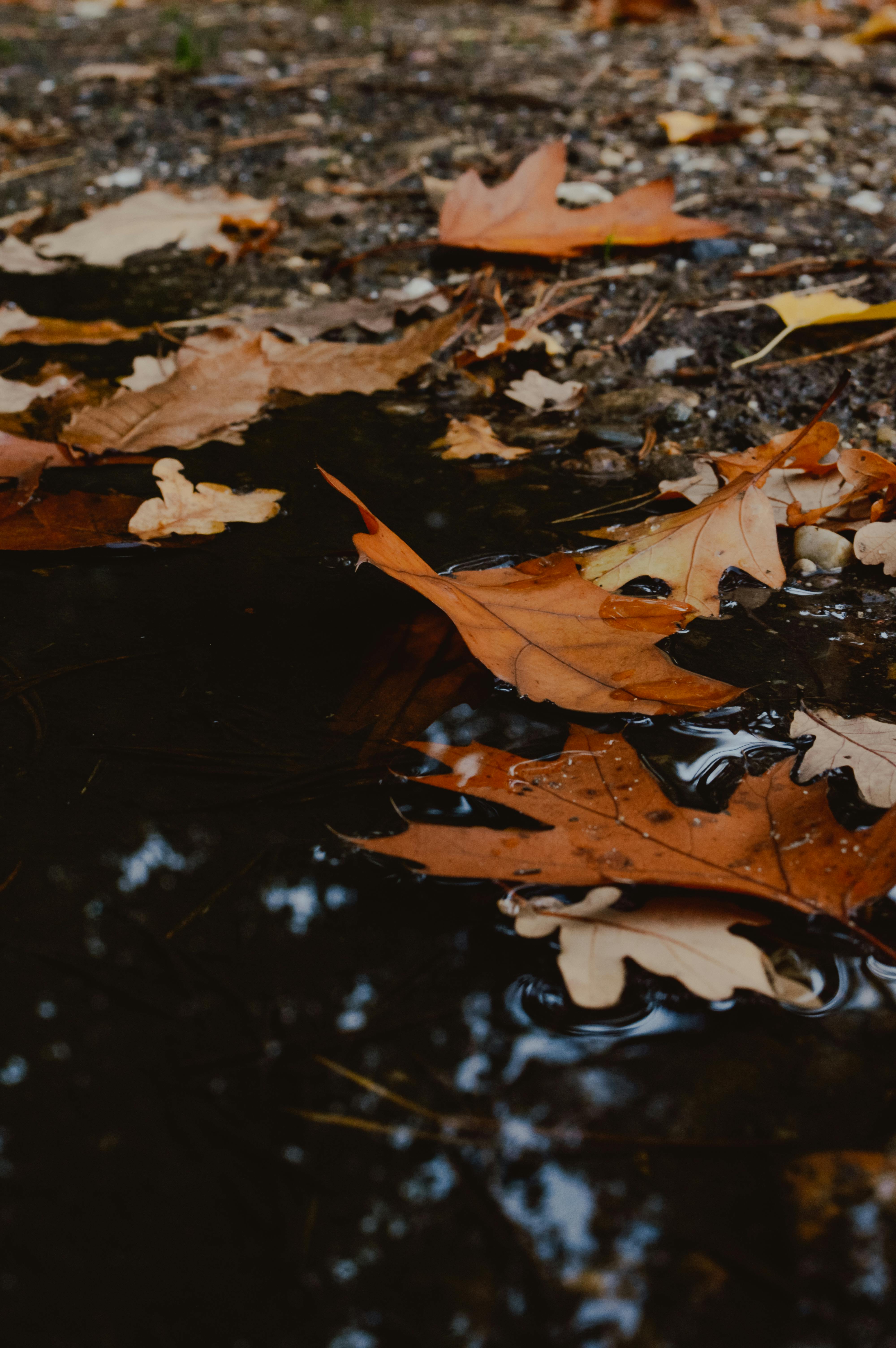 Puddle of Water on the Floor · Free Stock Photo