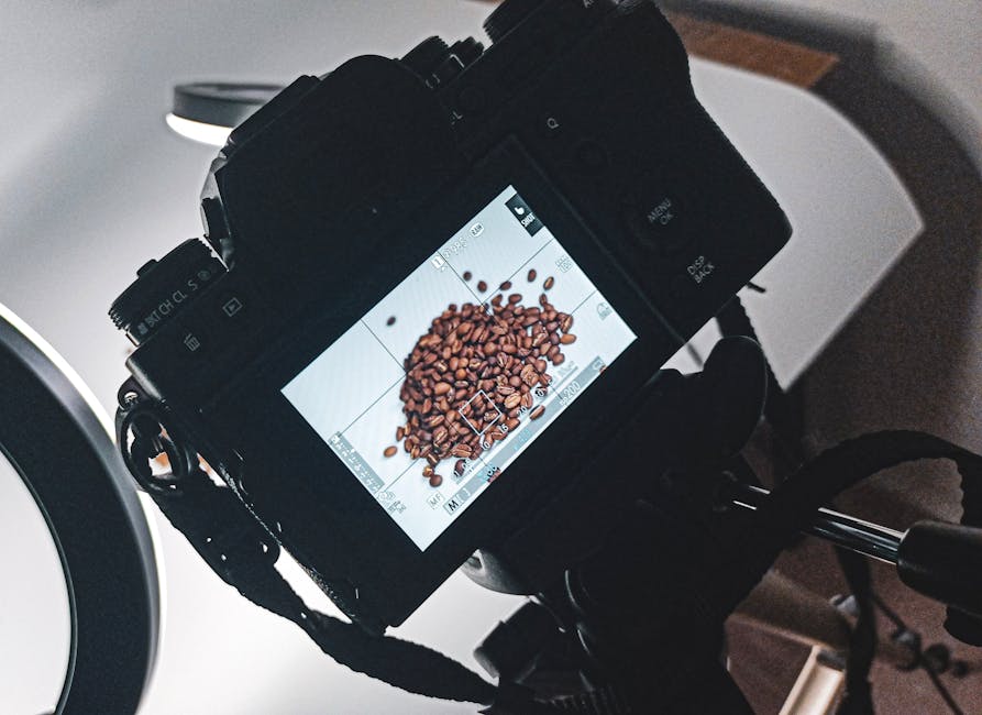 Explore Black Mustard Leaves Paired with Gourmet Mushrooms – 9 Clues Explore Black Mustard Leaves Paired with Gourmet Mushrooms – 9 Clues