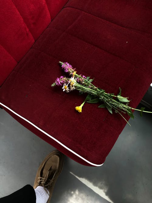 Stems of Flowers on Red Couch