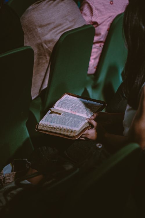 Free A person reading a Bible in a dimly lit church environment. Stock Photo