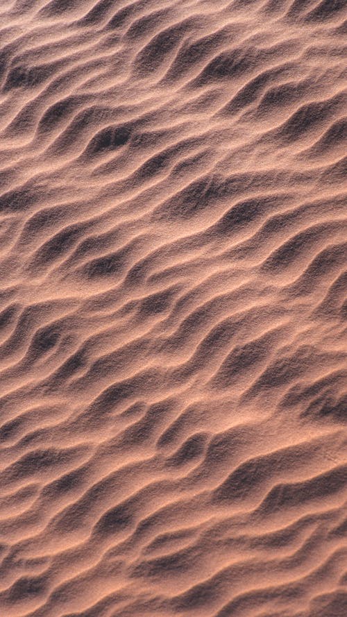 Foto d'estoc gratuïta de desert, dunes, fons